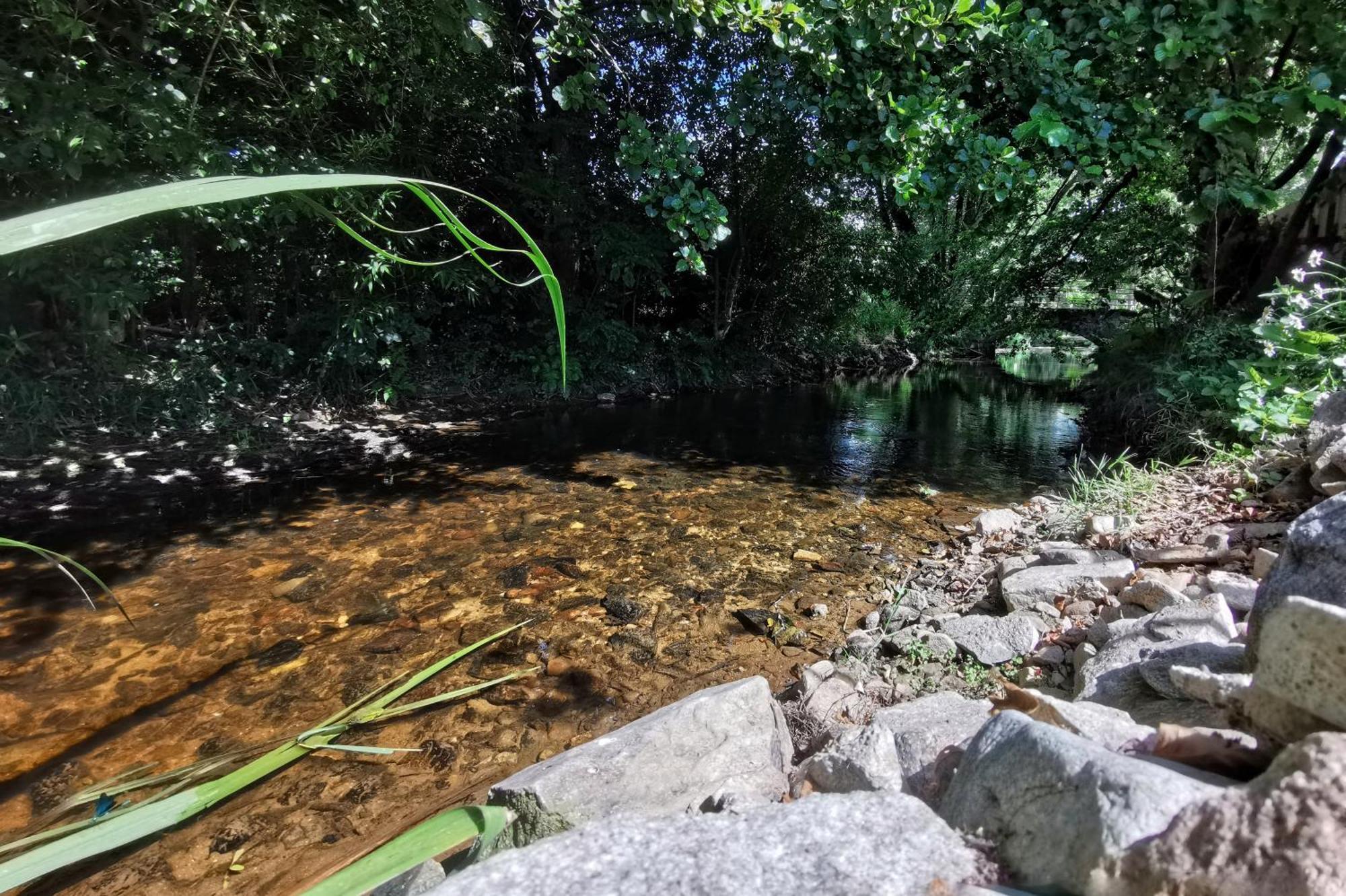 Gite Du Moulin Toucan Berneuil  ภายนอก รูปภาพ