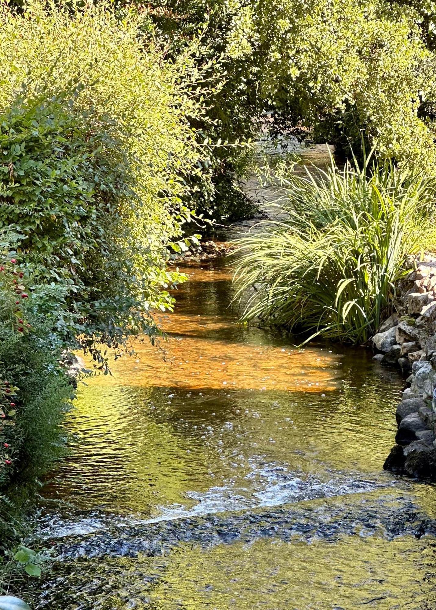 Gite Du Moulin Toucan Berneuil  ภายนอก รูปภาพ